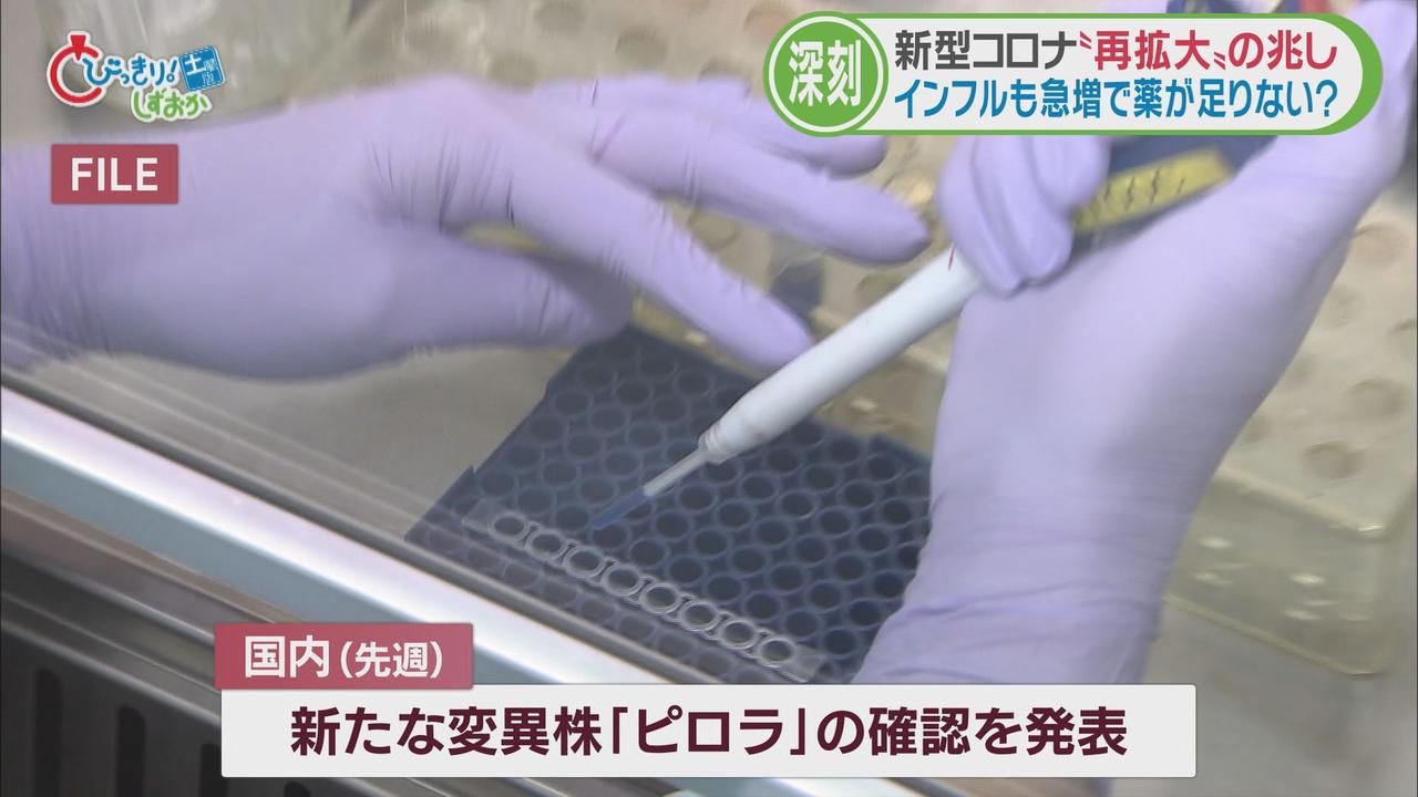 画像: 感染力強い「エリス」が広がっているか 新たな変異株「ピロラ」も
