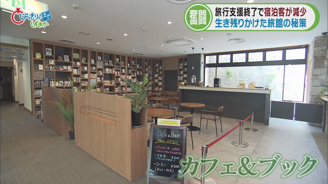 画像2: 宿泊客増やす秘密兵器は「カピバラ」　１億円かけてテニスコート改修し…　静岡・東伊豆町　/伊地アナが行くニュースの現場