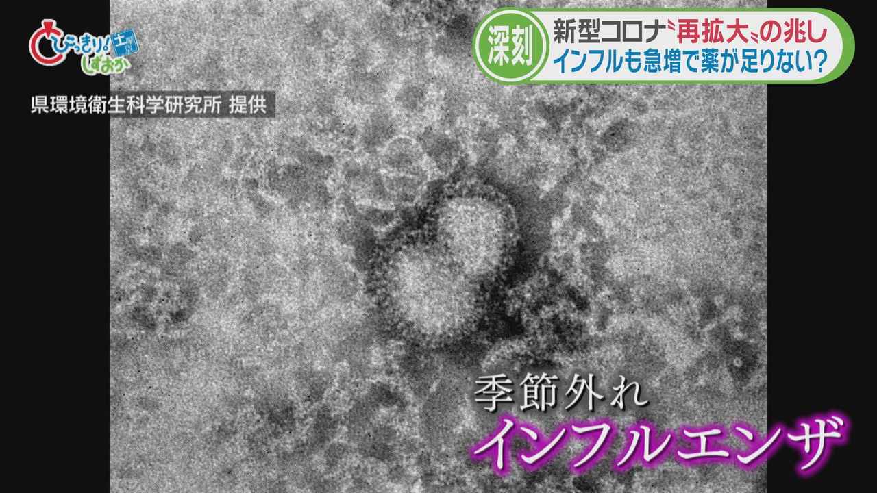 画像: インフルエンザも流行