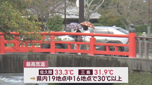 異変…暑すぎて秋の花に『異常事態』　開花が早かったり、遅くなったり…予測しにくい今年の「コスモス」　静岡・裾野市