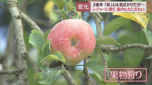 人気の「果物狩り」だけでなく…「ソーセージ狩り？」も　新型コロナ5類移行で客足は去年の倍　「はままつフルーツパーク」【連休スケッチ】